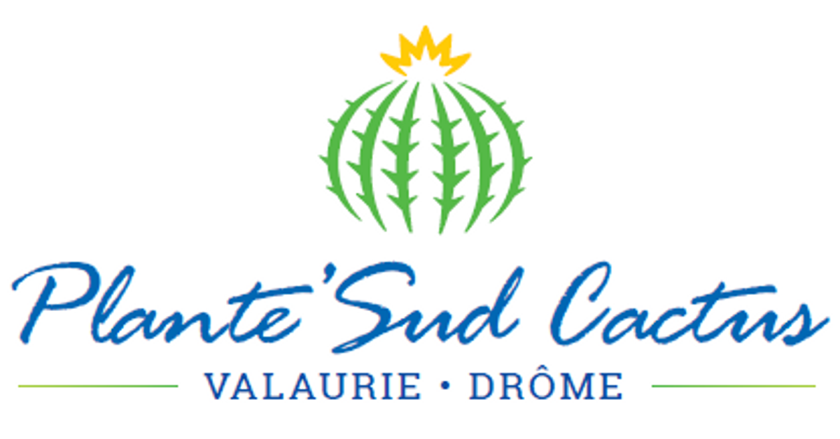 Plante Sud Cactus