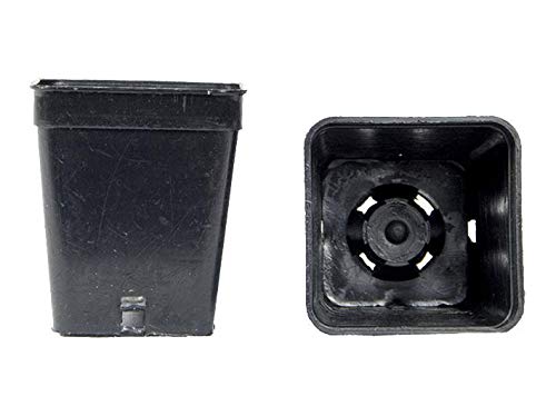 Lot de pots carré noir 5x5x6 cm